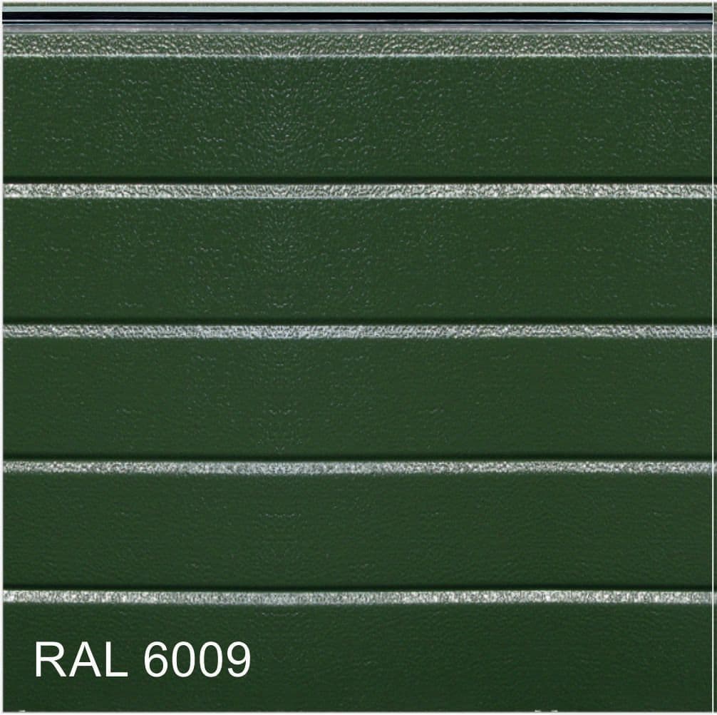 RAL 6009